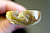 Agatized Coral Necklace Detail