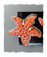 Starfish Earrings