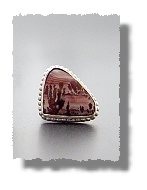 Piñon and Saguaro Set