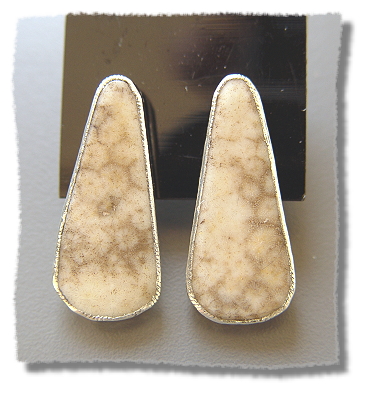 Fossil Coral Earrings