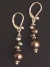 Upper Tsangpo Earrings