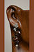 Coyote Earrings