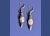 Drusy Gastropod Set Earrings - Mary Hicklin Drusy Gastropod Set Earrings