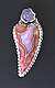 Laguna Agate Brooch - Mary Hicklin Laguna Agate Brooch