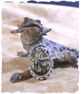 Pyritized Ammonite Ring