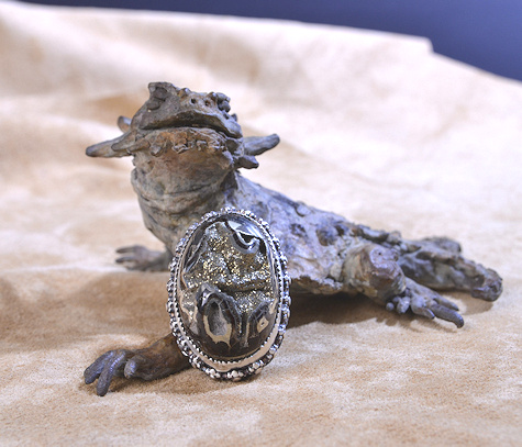 Pyritized Ammonite Ring - Mary Hicklin Pyritized Ammonite Ring