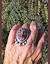 Poppy Jasper Face Ring on model- Mary Hicklin Poppy Jasper Face Ring on model