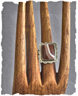 Lake Superior Agate Ring